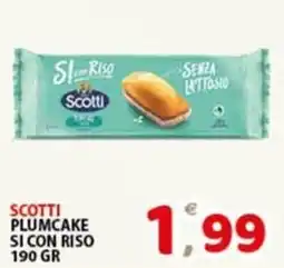 Premium Supermercati Scotti plumcake si con riso offerta