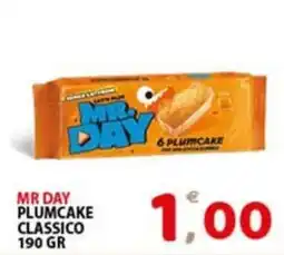 Premium Supermercati Mr Day Plumcake Classico offerta
