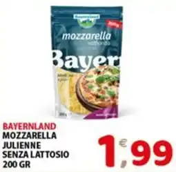 Mio Market Mozzarella julienne senza lattosio offerta