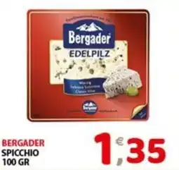 Mio Market Bergader spicchio offerta