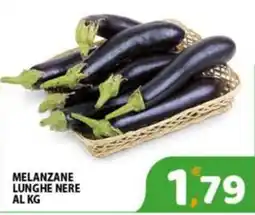 Premium Supermercati Melanzane lunghe nere offerta