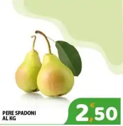 Premium Supermercati Pere Spadoni offerta