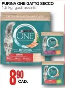 Mondo Brico Purina One gatto secco offerta