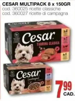 Mondo Brico Cesar Tarrina Clásica offerta