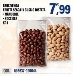 Adhoc Bencivenga frutta secca in guscio tostata offerta
