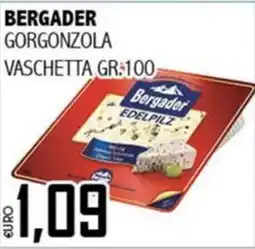 Big Food Bergader Gorgonzola offerta