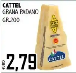 Big Food Grana Padano Cattel offerta