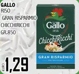 Big Food Gallo ChicchiRicchi offerta