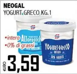 Big Food Neogal Yogurt Greco offerta