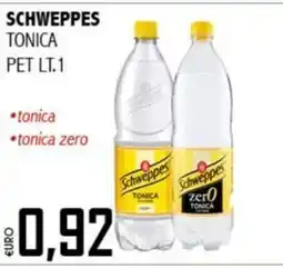 Big Food Schweppes tonica offerta