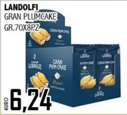 Big Food Landolfi gran plumcake offerta