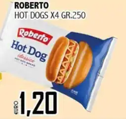 Big Food Roberto Hot Dog classico offerta