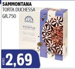 Big Food Sammontana torta duchessa offerta
