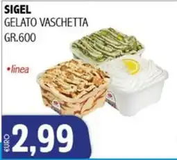 Big Food Sigel gelato vaschetta offerta
