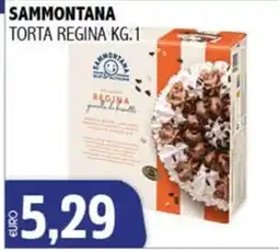 Big Food Sammontana torta regina offerta
