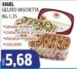 Big Food Sigel gelato vaschetta offerta