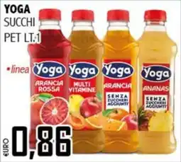 Big Food Yoga succhi offerta