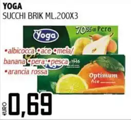 Big Food Yoga succhi brik offerta