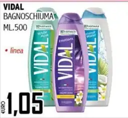 Big Food Vidal Bagnoschiuma offerta