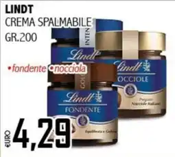 Big Food Lindt crema spalmabile fondente nocciola offerta
