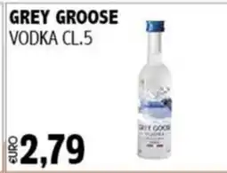 Big Food Grey Goose vodka offerta
