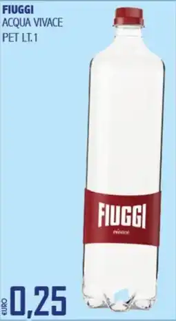 Big Food Fiuggi acqua vivace offerta