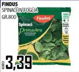 Big Food Spinaci in foglia Findus offerta