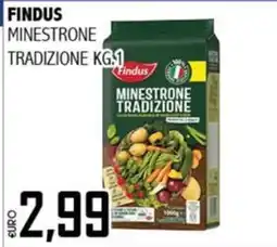Big Food Findus Minestrone Tradizione offerta