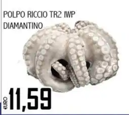 Big Food Polpo riccio tr2 iwp diamantino offerta