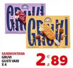 Mio Market Sammontana Gruvi offerta