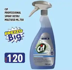 Big Food Cif Professional Spray Vetri/Multiuso offerta
