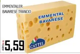 Big Food Emmentaler bavarese trancio Cattel offerta