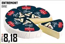 Big Food Entremont Brie offerta