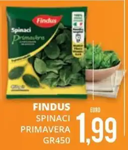 Mazzeo Supermercati Findus Spinaci Primavera offerta
