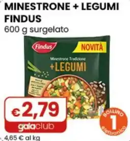 Gala Supermercati Minestrone + legumi Findus offerta