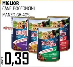 Big Food Miglior cane bocconcini offerta