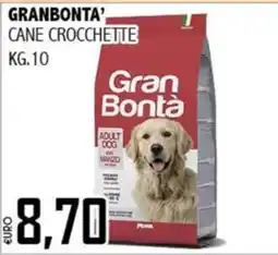 Big Food Gran Bontà cane crocchette offerta