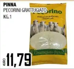 Big Food Pinna pecorini grattugiato offerta