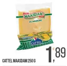 Cash pro Cattel Maasdam offerta
