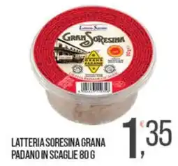 Cash pro Latteria Sorensina Grana Padano in scaglie offerta