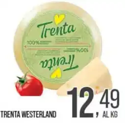 Cash pro Trenta Westerland offerta