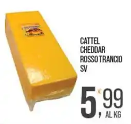 Cash pro Cattel cheddar rosso trancio sv offerta