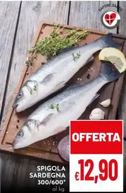 Pan Spigola Sardegna offerta