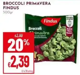 Pan Broccoli Primavera Findus offerta