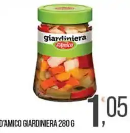 Cash pro Giardiniera D'Amico offerta