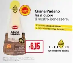 Pan Grana Padano offerta