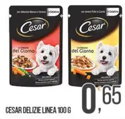Cash pro Cesar Delizie Linea offerta