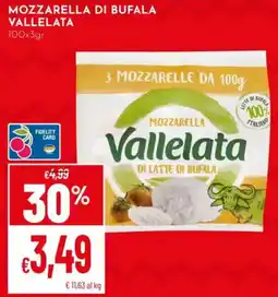Pan Mozzarella di bufala Vallelata offerta