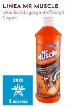Pan Mr Muscle idraulico/disgorgante/Sciogli Capelli offerta