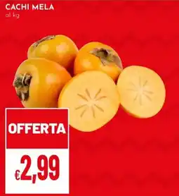 Pan Cachi mela offerta